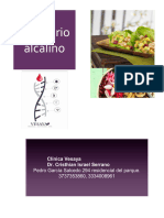 Recetario Alcalino Vesaya PDF