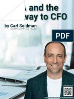 FP&A and The Pathway To CFO - by Carl Seidman