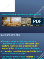 Assurance Avicole - Copie