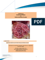 Panleucopenia Felina