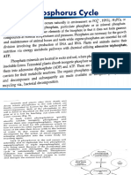 Phosphorus - Sulphur - Cycle