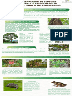 Infografia Conservación de Especies Vegetales y Faunísticas en Peligro, Veda o No Registradas