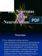 Neuron As y Neuro Transm I Sores