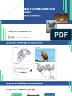 3 - Bases Neuroendócrinas de La Conducta - F Reyes