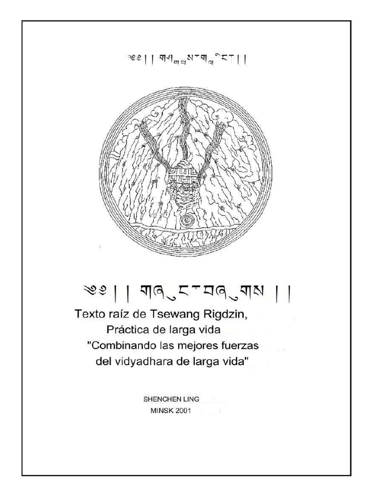 Tsewang Rigdzing-Esp | PDF