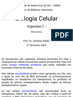 2024 Biologia celular VET Aula 6 Ribo_54b39659413f03584c3822e3c7395709