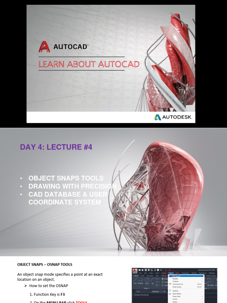 Lecture 4 Pdf Cartesian Coordinate System Icon Computing