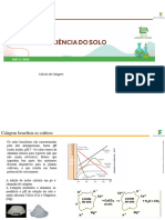 9 - Cálculo de Calagem