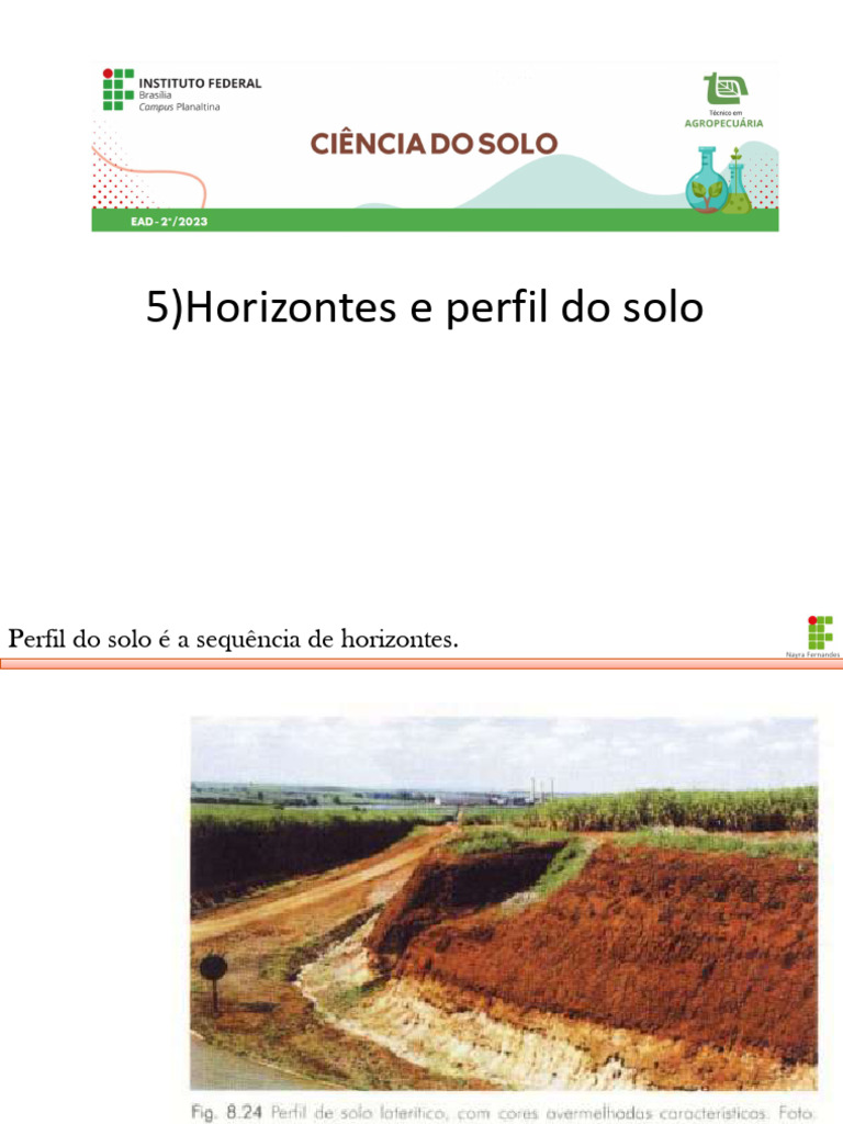 Horizontes e Classificação do Solo | PDF | Solo | Geociências
