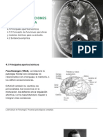 Procesos psicológicos complejos