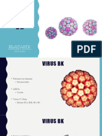 Virus BK[8976]