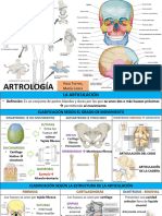 Tema 3 Anatomia Artrologia