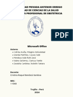Elementos de Microsoft Office