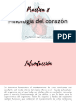 Fisiología Del Corazón