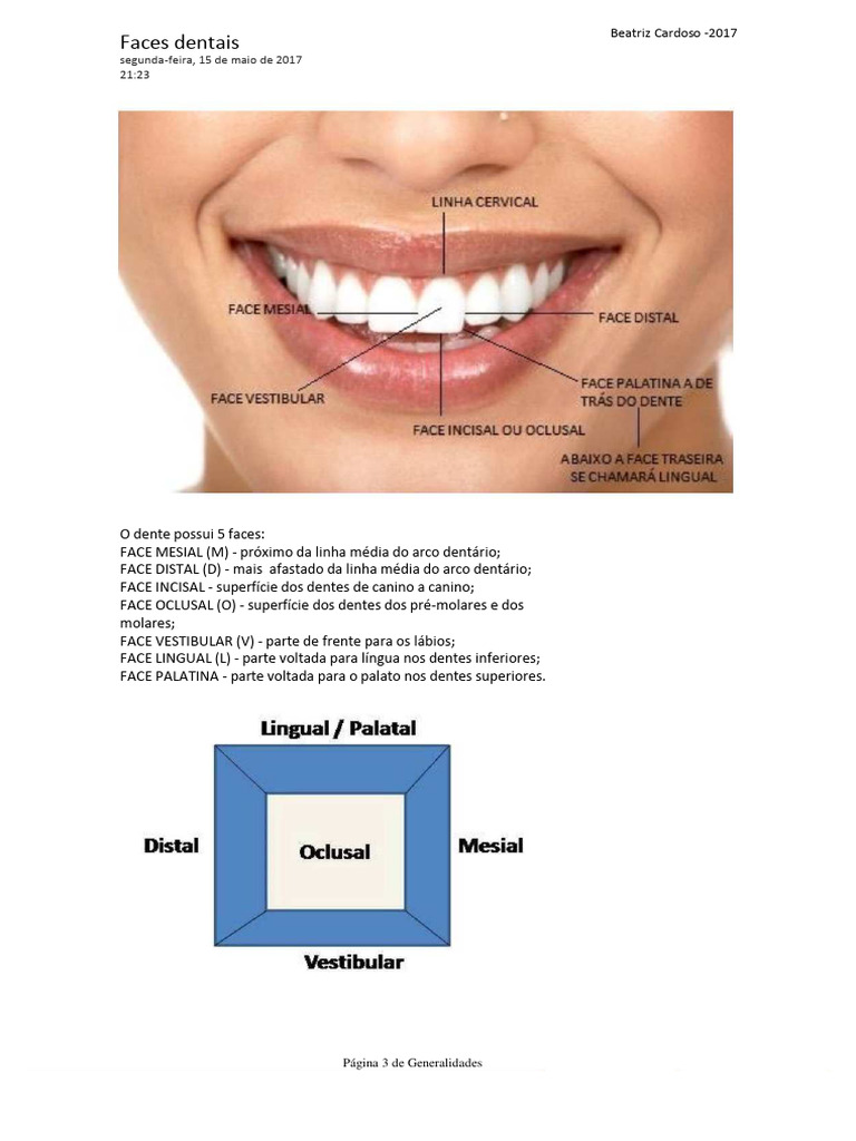 Anatomia E Escultura Dental Apostila 3 Pdf