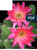 Fleur de Cactus