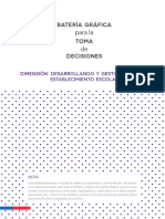 Bateria Grafica para Toma de Decisiones Final