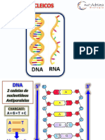 Duplicação do Dna