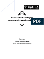 Actividad 6 Estrategias Empresarial y Medio Ambiente