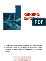 Shigella Salmonella(2)