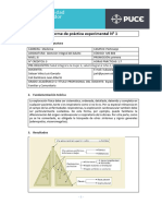 Informe de Práctica Experimental - 1