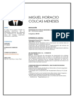 CV Miguel Horacio Colcas Meneses