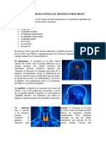 Partes Del Sistema Endocrino, Hormonas Sinteticas y No Sinteticas