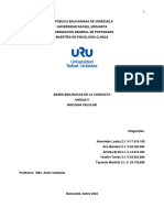 Informe Bases Biológicas de la Conducta