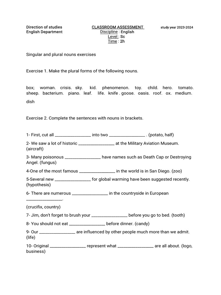 English Grammar Exercises for Students | PDF