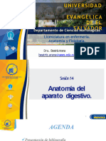 Anatomia Del Aparato Digestivo