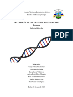 EXTRACCIÓN DE ADN Y ENZIMAS DE RESTRICCIÓN Resumen