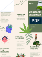 Folleto Marihuana