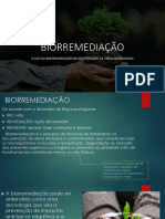 Apresentação BIOTEC PDF