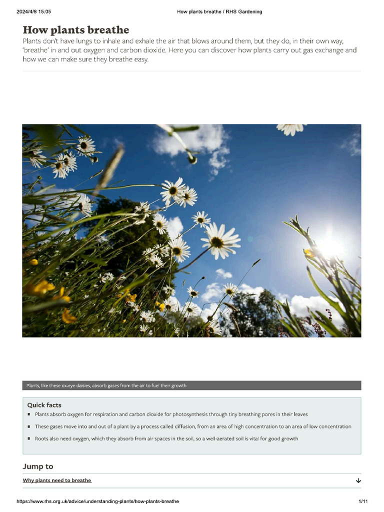 How Plants Breathe - RHS Gardening | PDF