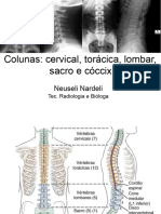 Aula 10 - Colunas Cervical^J Toracica^J Lombar^J Sacro e Coccix - Neuseli Nardeli