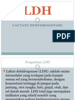 Lactate Dehydrogenase