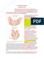 Ultimos Temas Del Intensivo de Ortopedia