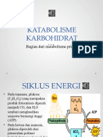 Katabolisme Karbohidrat - PPT Bersuara Oke