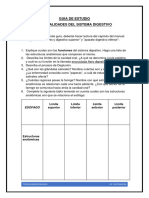 Guia Estudio - Generalidades Del Sistema Digestivo