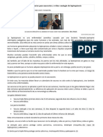 Vacunas obligatorias para mascotas y evitar contagio de leptospirosis