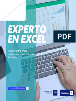 Experto Excel - Regular 1