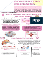 Infografia Escolar Educativa Rosa Pastel-1