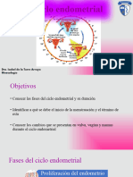 Ciclo Endometrial