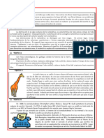 Comprensión de Textos Primero y Segundo