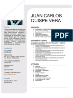 CV Juan Carlos Quispe Vera