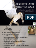 Burung Predator Tikus - Pustaka Sekjend