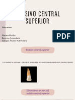 Incisivo Central Sup