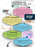 Desarrollo Embrionario Atm