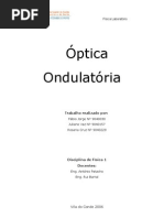 Relatorio Optica ondulatoria