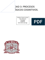 Unidad3 Procesos Psicológicos Cognitivos.